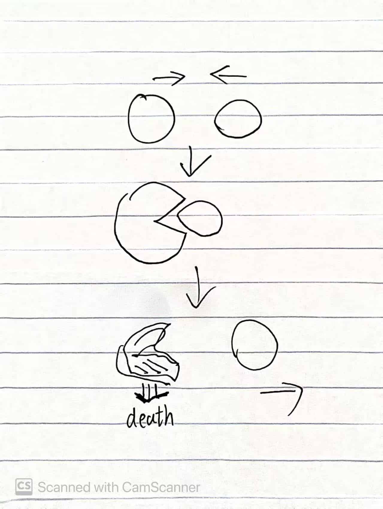 Physical Game of Life setup showing water interaction